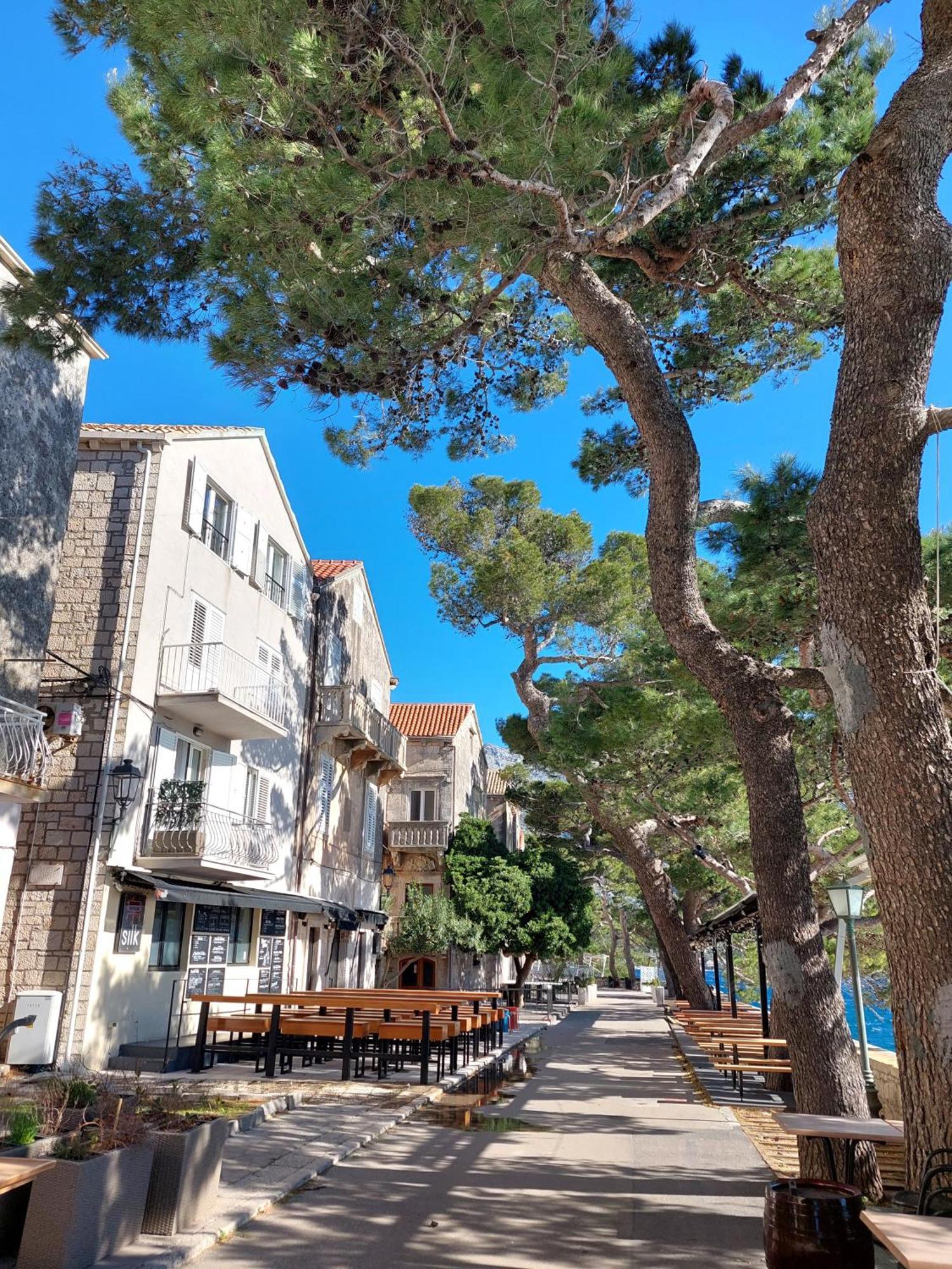 Apartment Korčula Extérieur photo